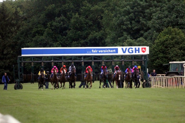 Bult VGH2011   103.jpg